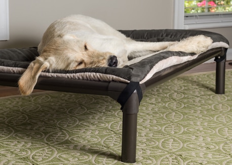 premium dog bedding